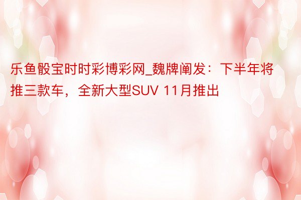 乐鱼骰宝时时彩博彩网_魏牌阐发：下半年将推三款车，全新大型SUV 11月推出