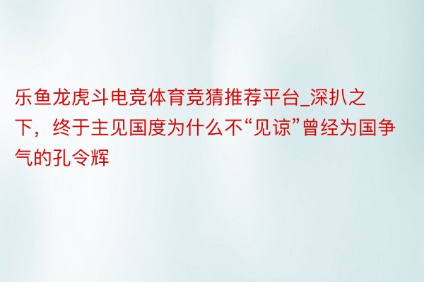 乐鱼龙虎斗电竞体育竞猜推荐平台_深扒之下，终于主见国度为什么不“见谅”曾经为国争气的孔令辉