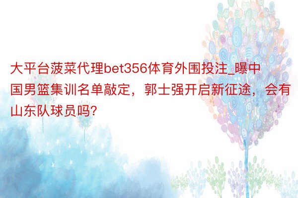 大平台菠菜代理bet356体育外围投注_曝中国男篮集训名单敲定，郭士强开启新征途，会有山东队球员吗？
