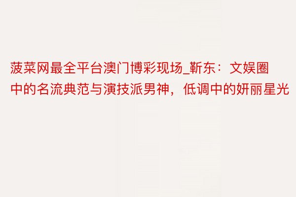 菠菜网最全平台澳门博彩现场_靳东：文娱圈中的名流典范与演技派男神，低调中的妍丽星光